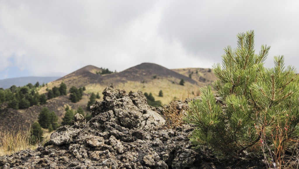 A spasso sull’Etna con lo Street View di Google