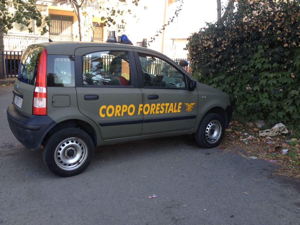Operaio della Forestale sorpreso mentre appicca incendio a Vendicari