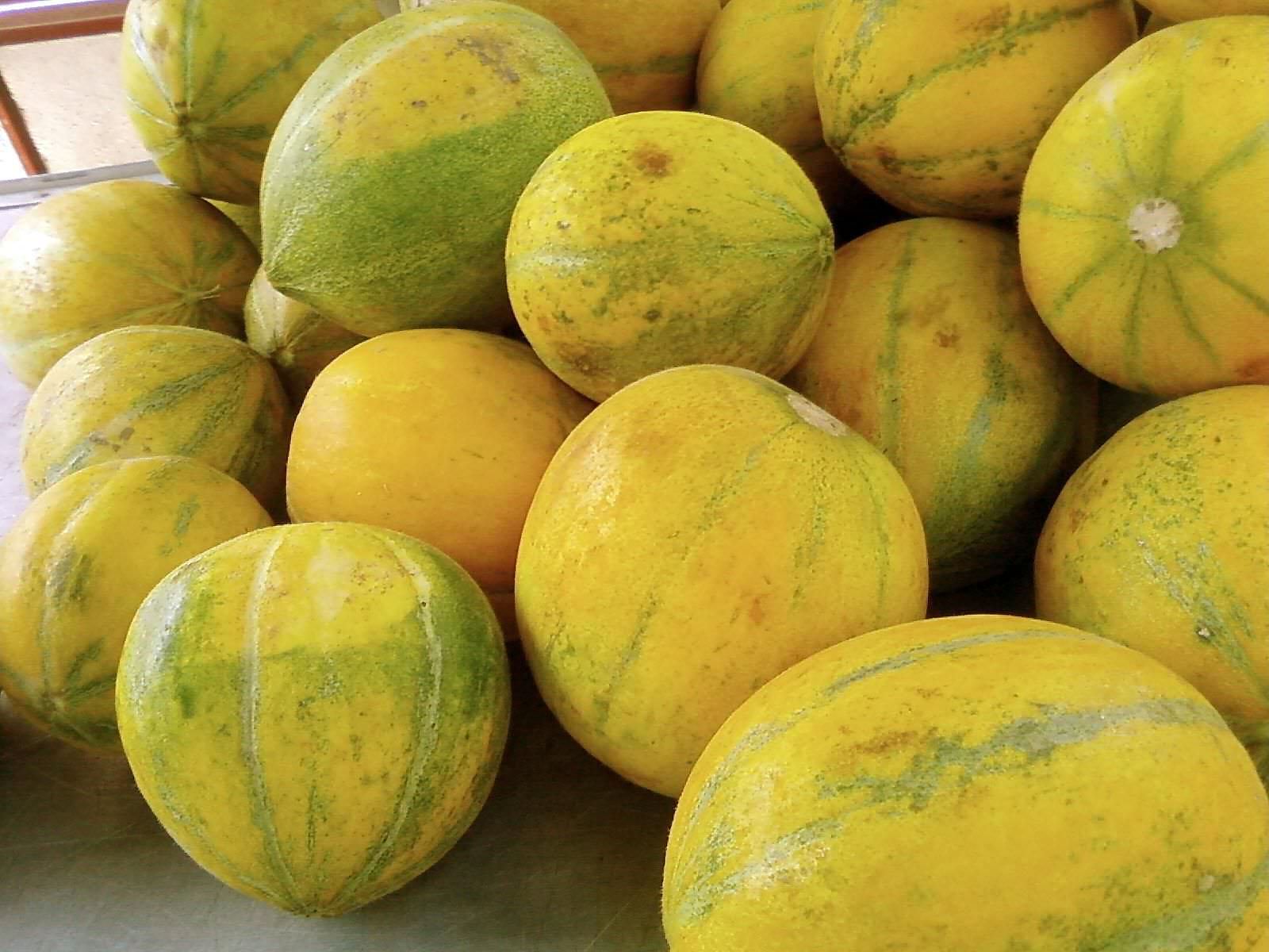 Mille meloni sequestrati nel Trapanese