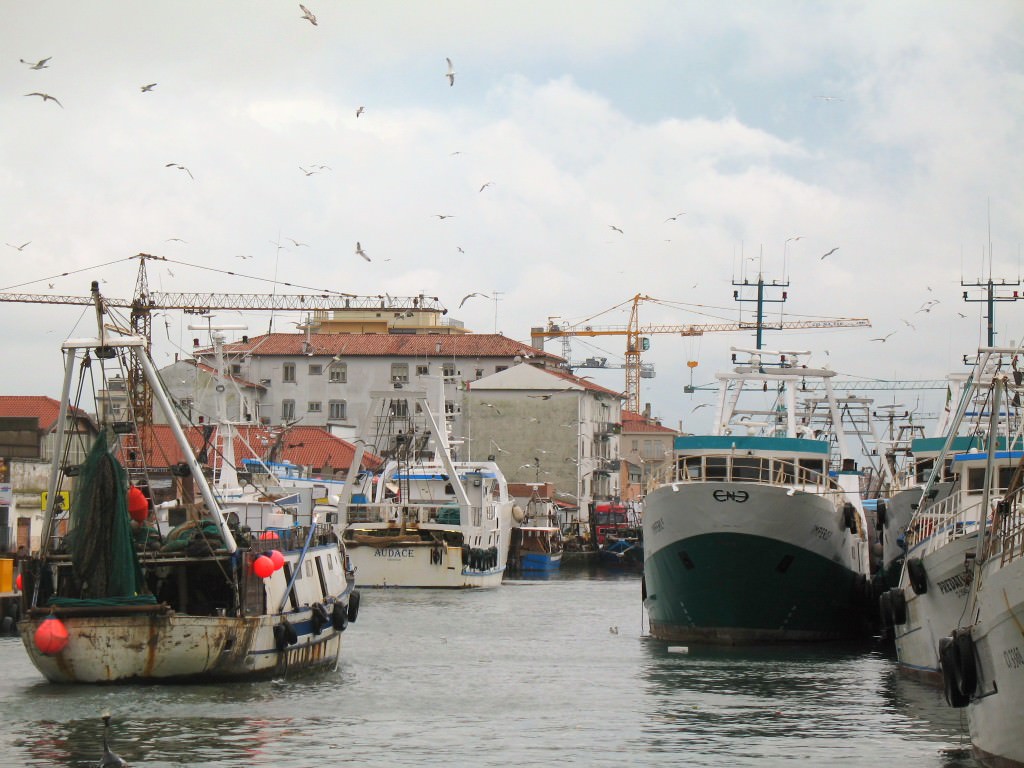 Mazara, fratelli naufraghi ancora dispersi