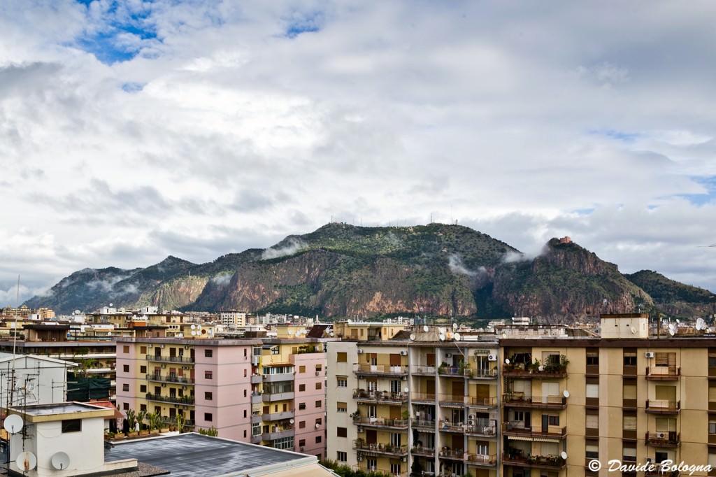 Palermo, cinghiali alle falde di Monte Pellegrino