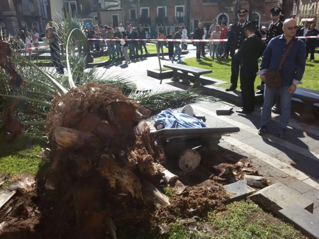Catania, la donna morta in piazza Cutelli uccisa dal punteruolo rosso