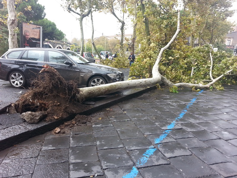Catania, nubifragio e tromba d’aria, il Comune ieri smentiva pericolo meteo