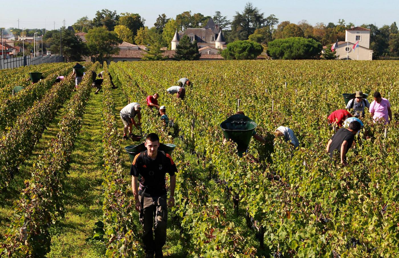 Bronte, 12 genitori denunciati per il reato di evasione scolastica Bronte, 12 genitori denunciati per il reato di evasione scolastica