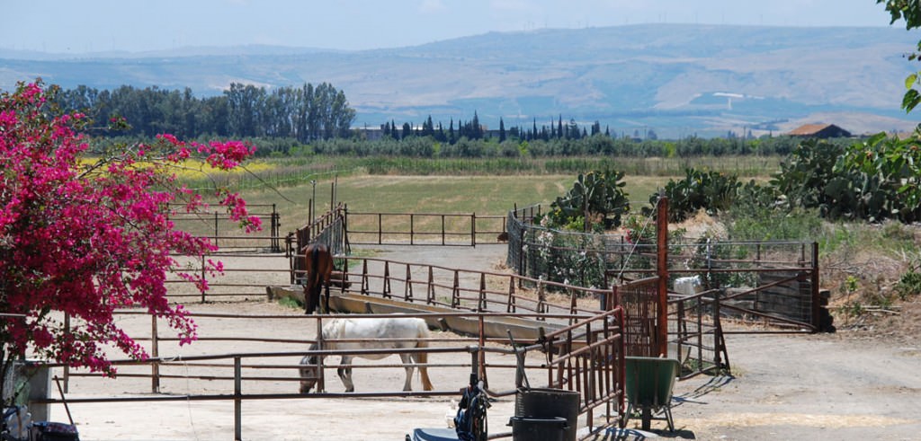 Una passeggiata a cavallo tra i caseggiati di “Fattoria Jannarella”