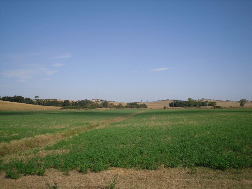 Tutti contro l’Imu Agricola. Oggi manifestazione di Agrinsieme