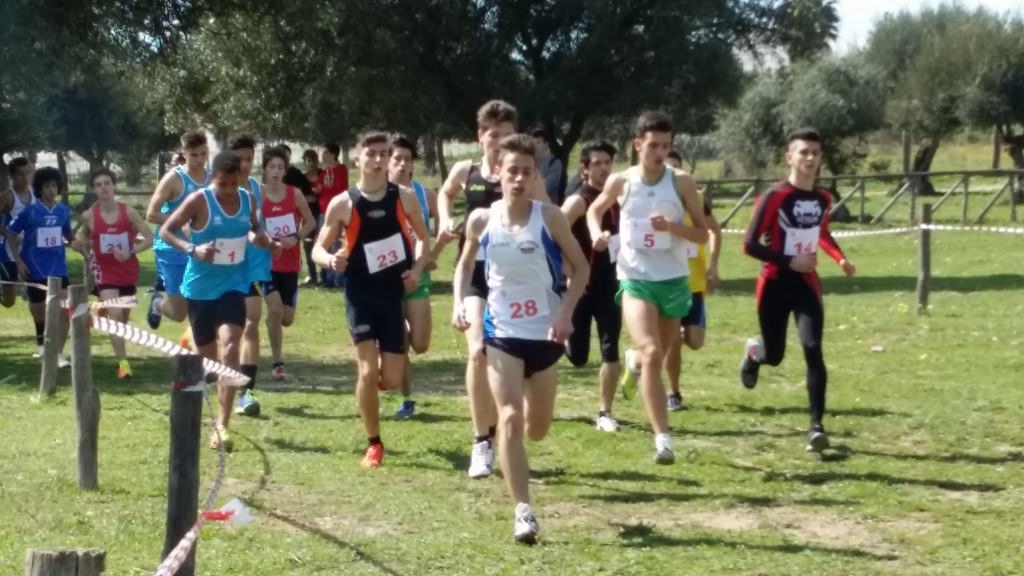 Successo, anche se con partecipazione limitata, ai Campionati studenteschi di corsa campestre 2014 – 2015