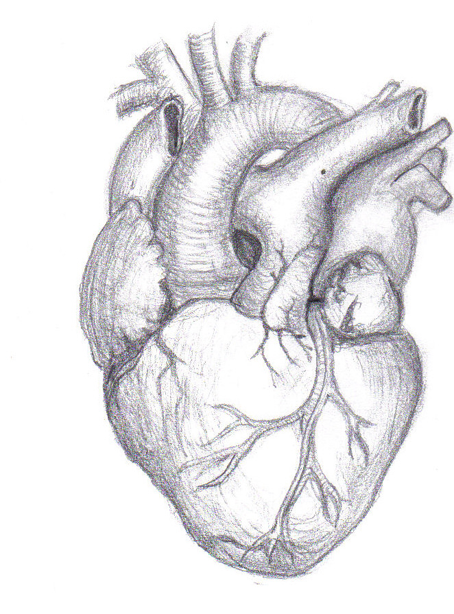 Stenosi aortica severa e sostituzione valvolare percutanea: TAVI