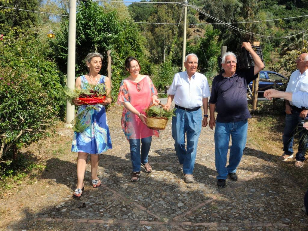 Domenica 14 a Montagnareale la Sagra della Ciliegia