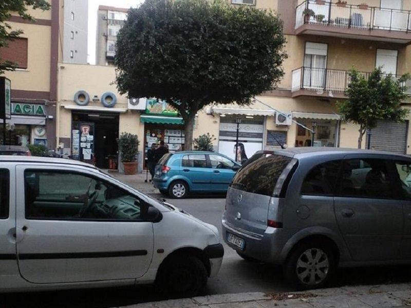 Palermo, Comune su 82 alberi ne pota solo uno “su richiesta”