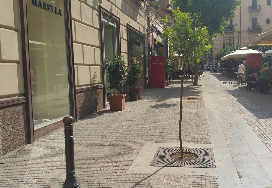Palermo: riqualificazione degli spazi verdi in via Belmonte Palermo: riqualificazione degli spazi verdi in via Belmonte