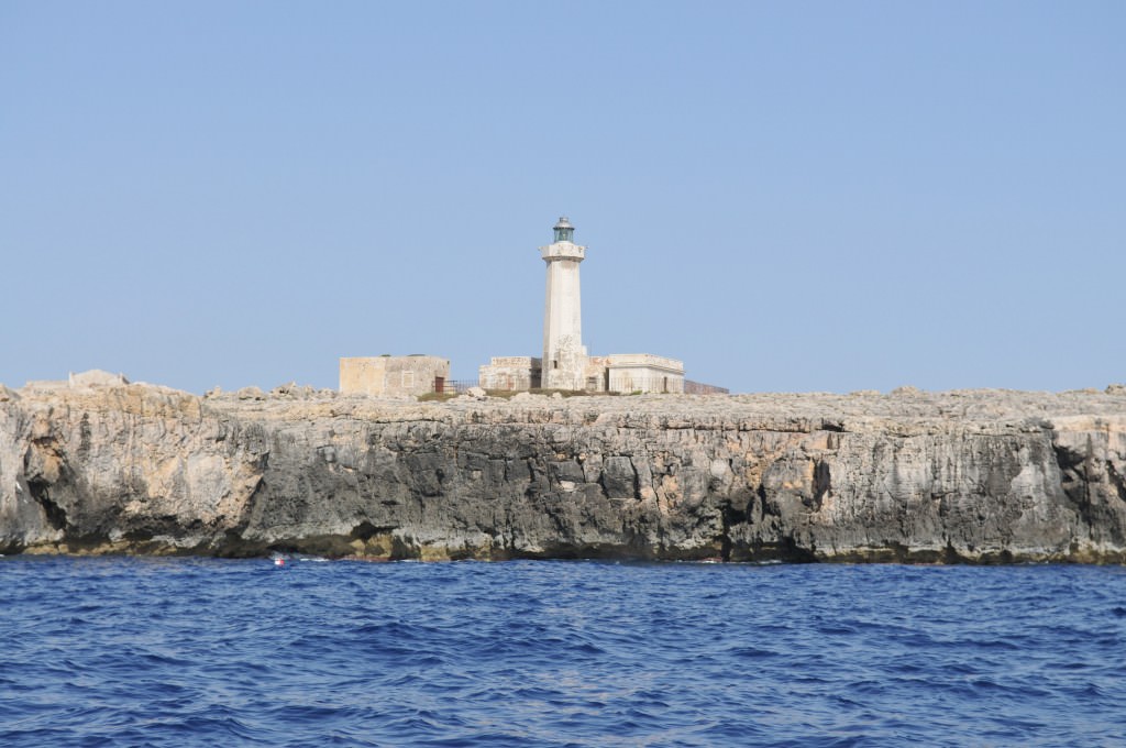 Siracusa, avvistati delfini a Capo Murro di Porco