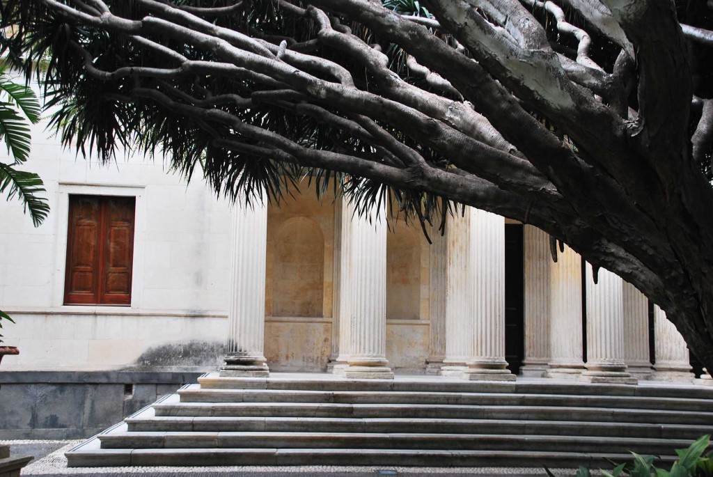 Catania “riscopre” il suo Orto Botanico