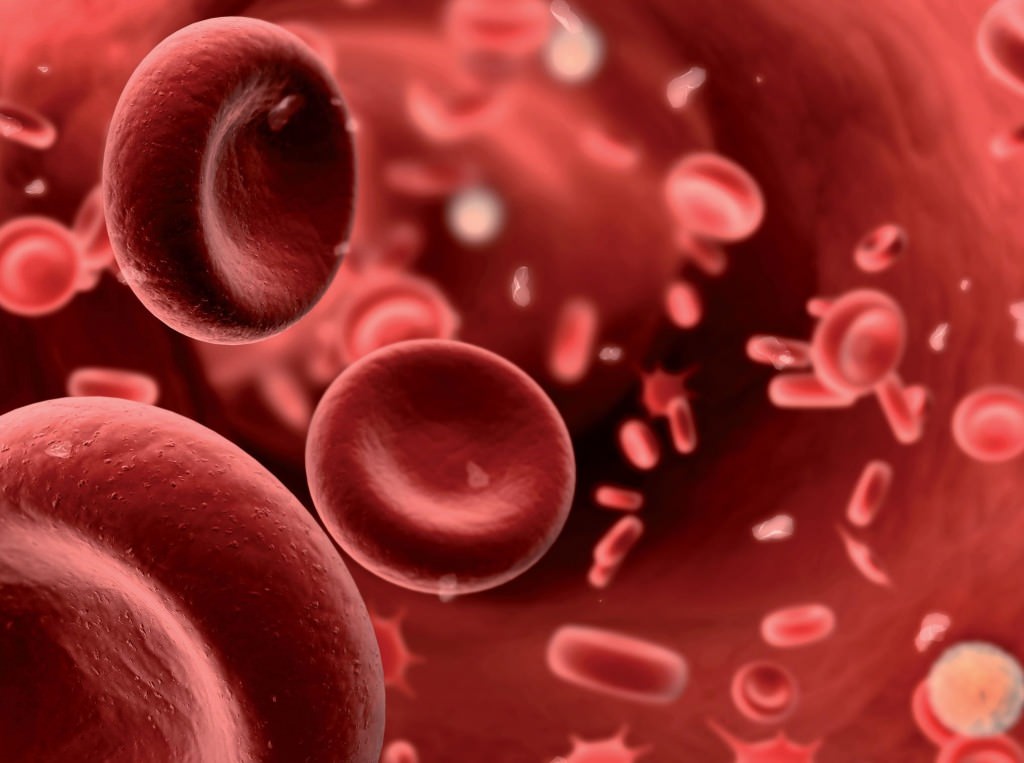 Succede 62 anni fa: il 25 aprile del 1959 accertato il primo caso di AIDS, com’è la malattia nel 2021?