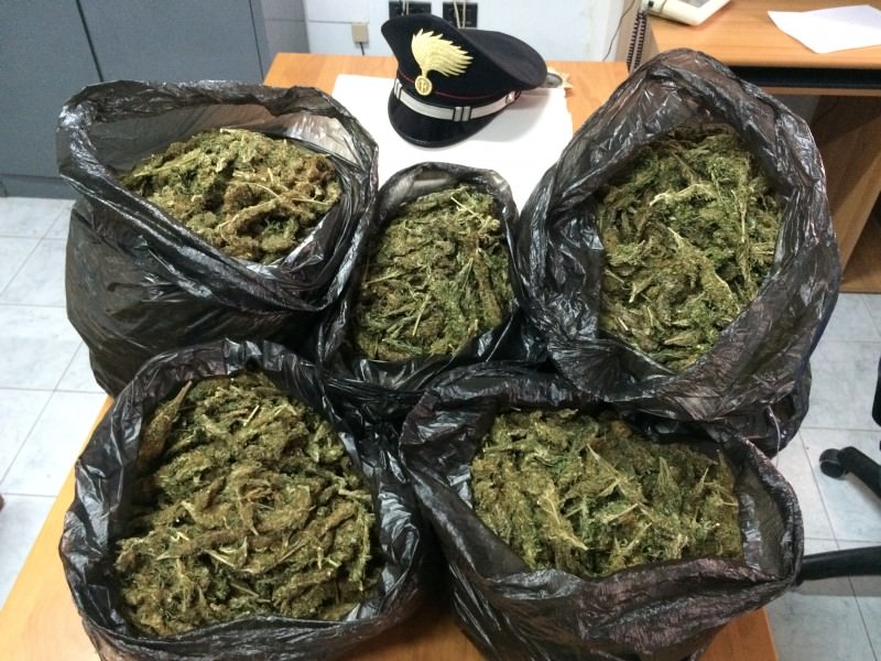 Siracusa, operazione antidroga: sequestrati 7 chili di marijuana