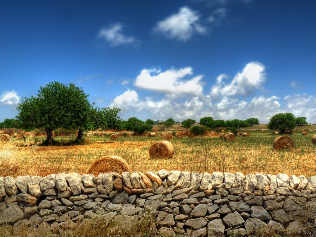 “Ecò Coltivazioni R_innovative”: sviluppo sostenibile ed ecologia per gli studenti catanesi