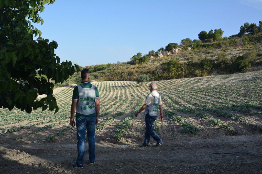 Caporalato: nel Calatino scoperti 17 lavoratori in nero. Sanzioni fino a 15 mila euro