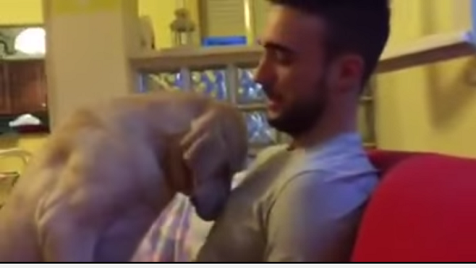 Ettore, il cane che chiede scusa spopola sulla rete (VIDEO)