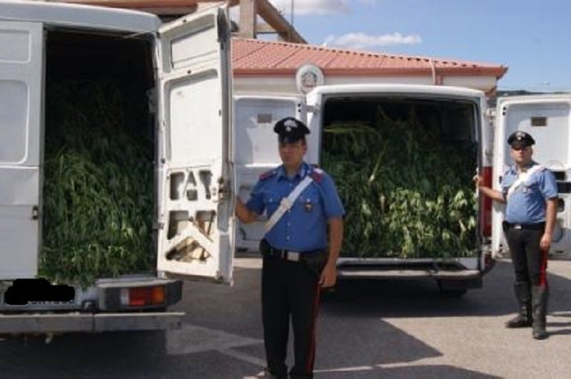 Scordia, trovata e sequestrata marijuana per un milione di euro Scordia, trovata e sequestrata marijuana per un milione di euro