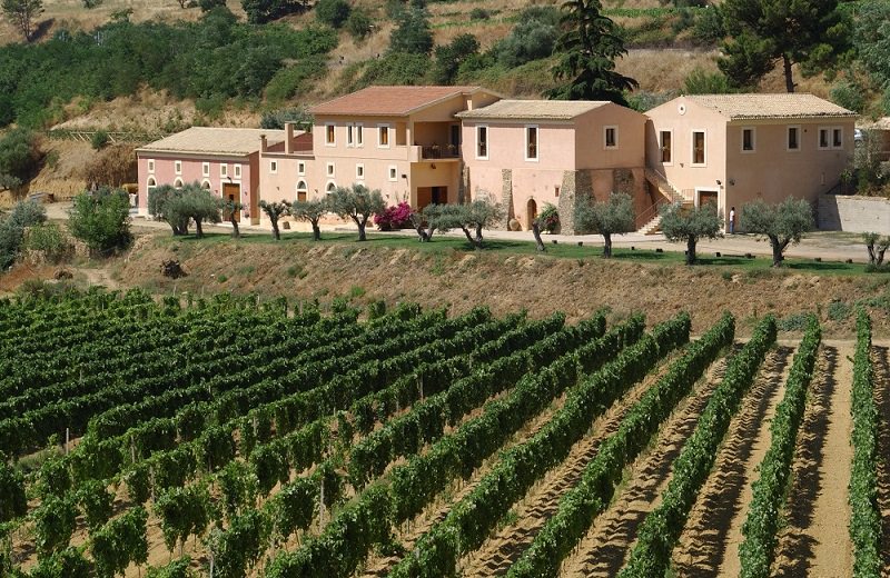 “Cerasuolo Night Party” per la valorizzazione del vino di Vittoria