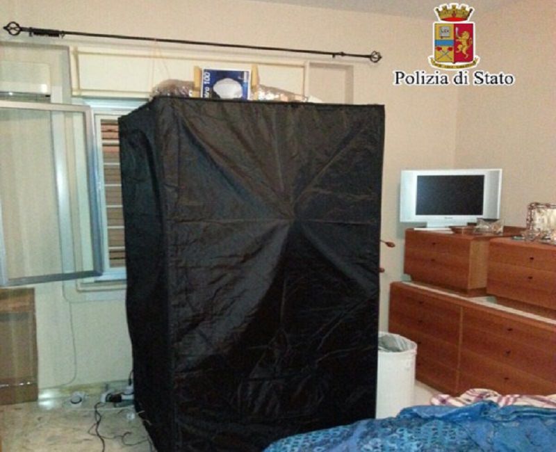 Scoperta una coltivazione di marijuana nell’appartamento di un portiere palermitano