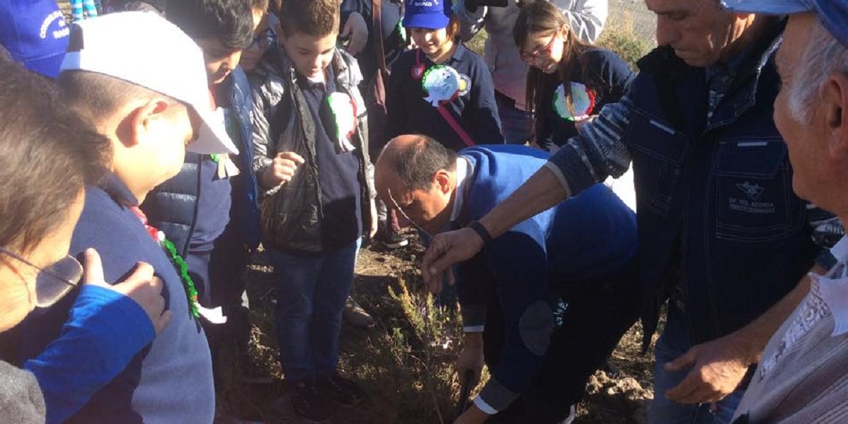 Festa dell’albero a Paternò: presto interrate 1500 nuove piante