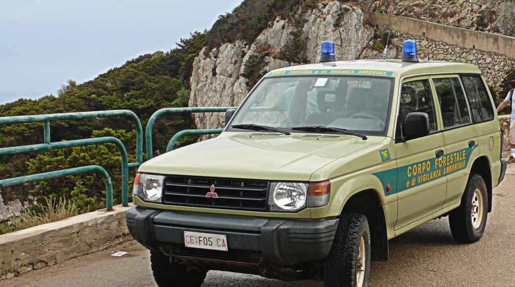 Palermo, forestali in piazza: “Situazione insostenibile”