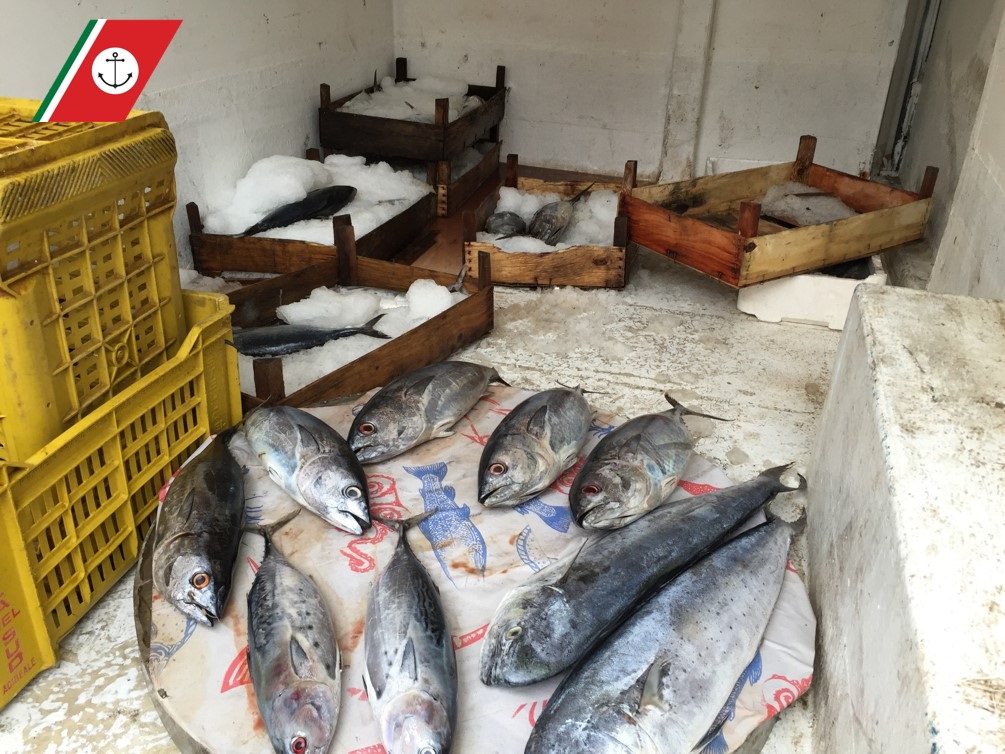 Giarre: Guardia Costiera sequestra 120 chili di pesce