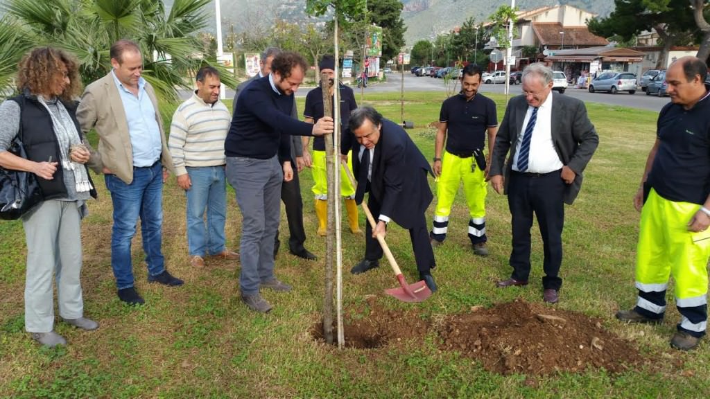 Mille alberi donati a Palermo. Nove piantati anche dal sindaco Orlando