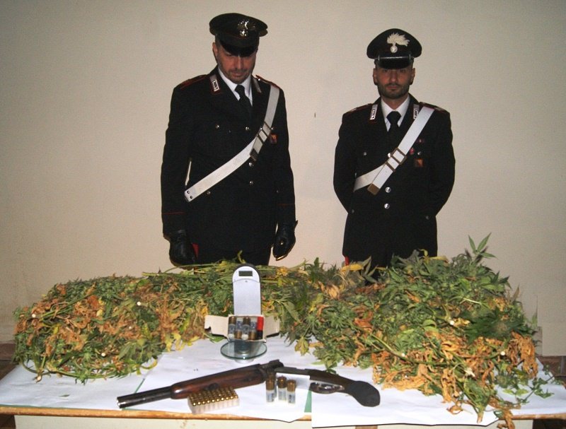 Una serra in pieno centro a Capaci con 140 piante di marijuana