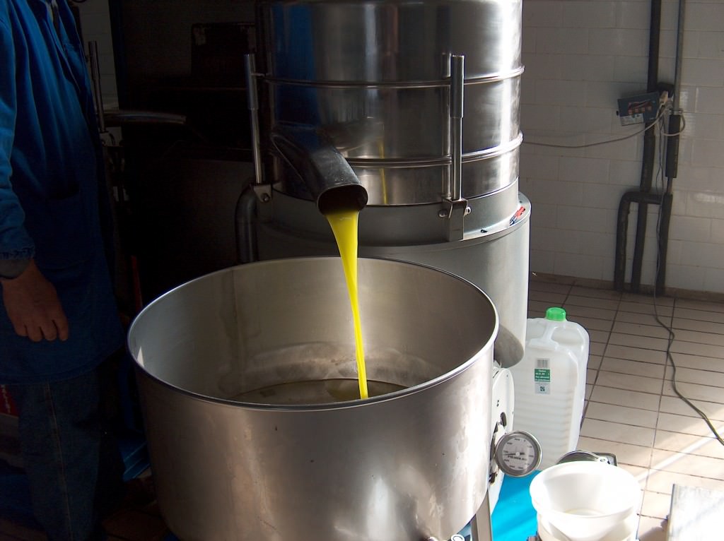 L’olio d’oliva nelle nostre tavole: proprietà e consigli per la salute