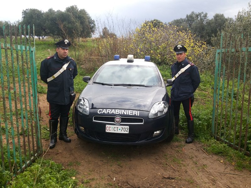 Si denuda e con una picozza danneggia la cassetta postale del vicino. In manette