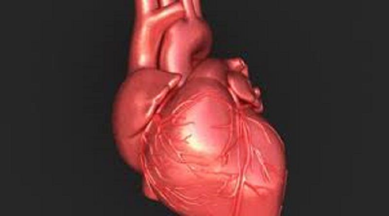 Il dolore toracico di origine cardiaca