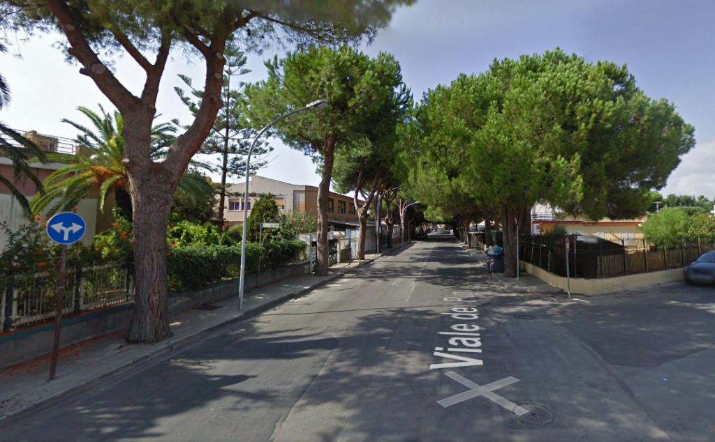 Abbattimento alberi ad Agrigento. La Scala (M5S): “Disastro ambientale”
