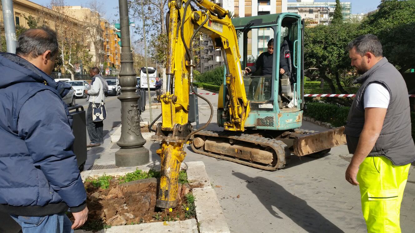 Palermo: rigenerato il verde in via della Libertà