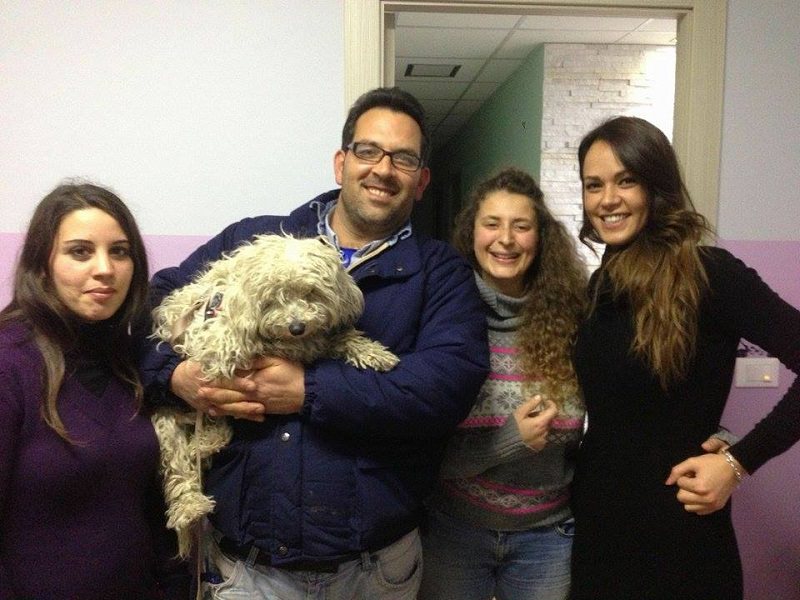 Castellammare, “Unione delle famiglie” raccoglie dalla strada 220 cani
