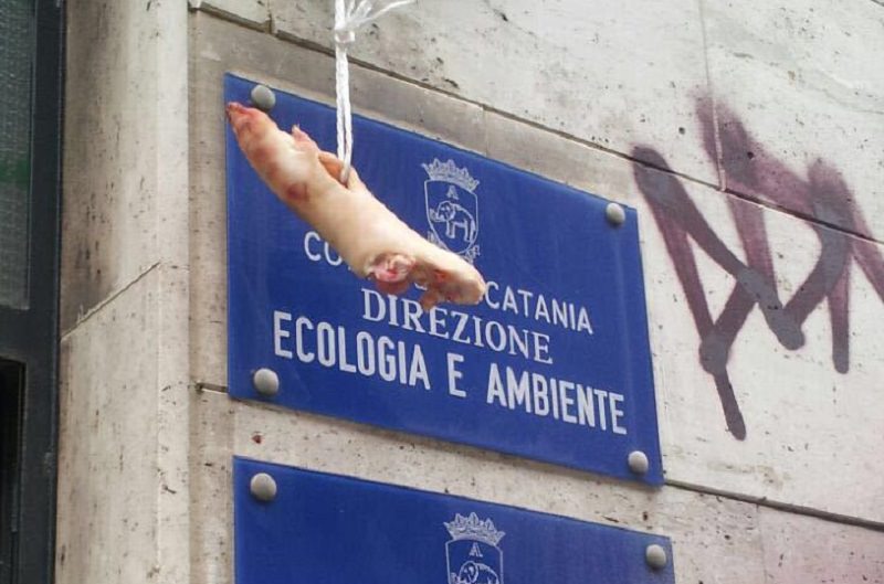 Gesto intimidatorio all’assessorato: zampa di maiale davanti gli uffici di Ecologia