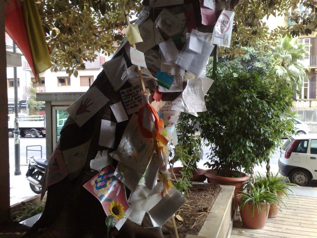Strage di Capaci: grande commozione sotto l’albero Falcone