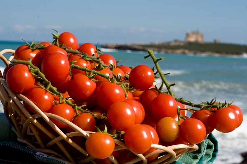 Anno da record per la Sicilia nel settore ortofrutticolo: Catania quarta in Italia per impatto economico