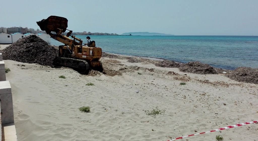 Al via lavori di pulizia sulle spiagge trapanesi