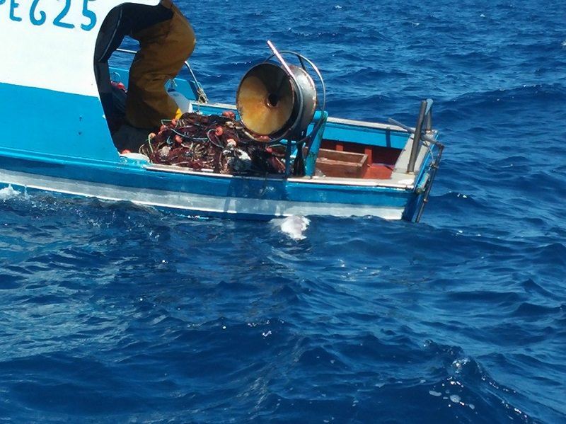 Lampedusa, recuperata rete “fantasma” nell’Area Marina Protetta Lampedusa, recuperata rete “fantasma” nell’Area Marina Protetta