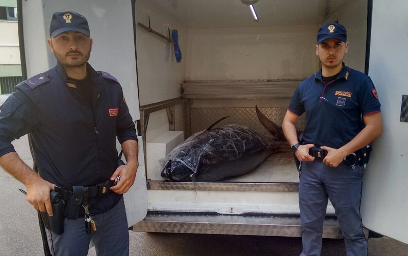 Circolava per Palermo con un tonno da 330 chili nel furgone
