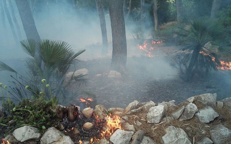 Castellammare ha bisogno di mezzi per affrontare incendi, lettera del sindaco