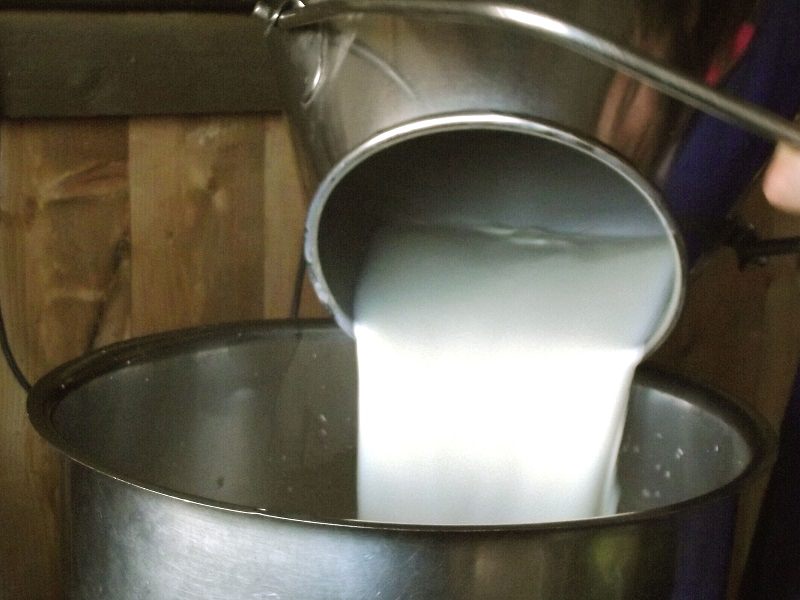 Crollo prezzo del latte, Pottino: “Premi accoppiati limitati alle zone strategiche”