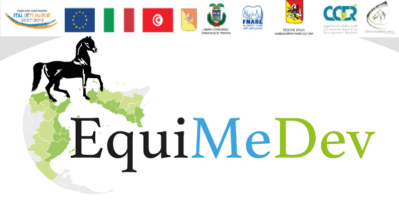 Dalla Sicilia alla Tunisia: i risultati raggiunti dal progetto “EquiMeDev”
