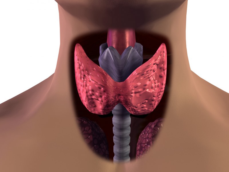 Bonus tiroide 2022: quali patologie riguarda e come funziona