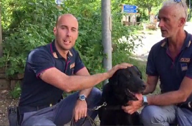 Sisma: la polizia presenta Leo, il cane-eroe che ha salvato una bambina dalle macerie
