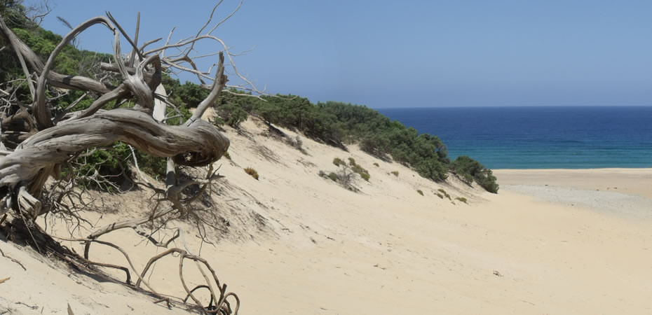 Nasconde la moglie nel bagagliaio per andare nella loro casa al mare: guai per una coppia sarda