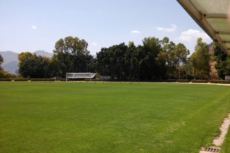 Mercato Palermo: tanti nomi per rafforzare centrocampo e attacco