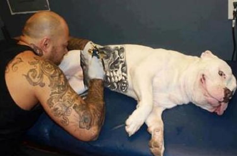 Tatuaggi a cani e gatti: la nuova moda arriva anche in Italia